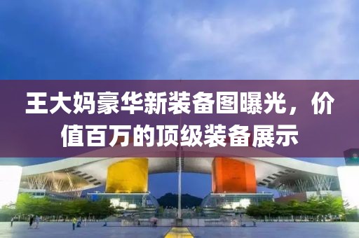 王大媽豪華新裝備圖曝光，價(jià)值百萬(wàn)的頂級(jí)裝備展示