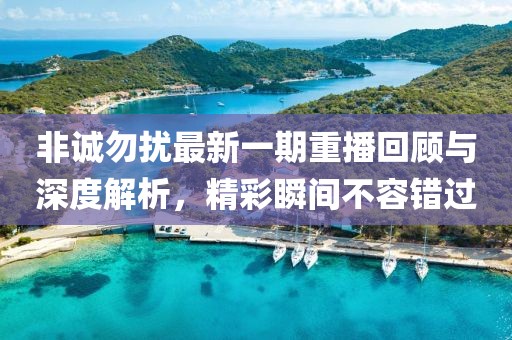 非誠勿擾最新一期重播回顧與深度解析，精彩瞬間不容錯(cuò)過