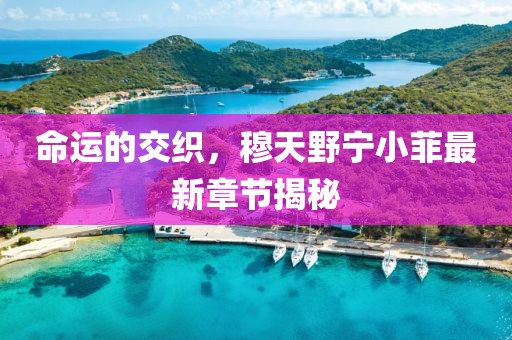 命運(yùn)的交織，穆天野寧小菲最新章節(jié)揭秘