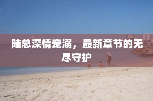 陸總深情寵溺，最新章節(jié)的無盡守護(hù)