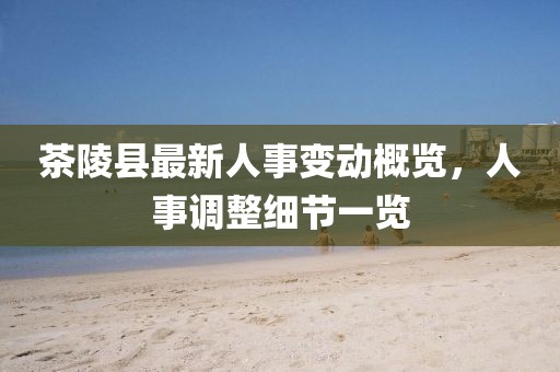 茶陵縣最新人事變動概覽，人事調(diào)整細節(jié)一覽