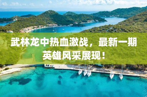 武林龍中熱血激戰(zhàn)，最新一期英雄風(fēng)采展現(xiàn)！