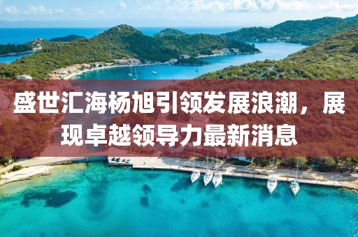 盛世匯海楊旭引領(lǐng)發(fā)展浪潮，展現(xiàn)卓越領(lǐng)導(dǎo)力最新消息