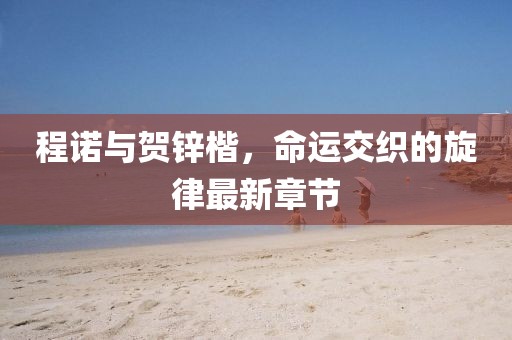 程諾與賀鋅楷，命運(yùn)交織的旋律最新章節(jié)