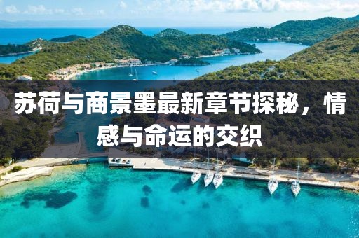 蘇荷與商景墨最新章節(jié)探秘，情感與命運的交織