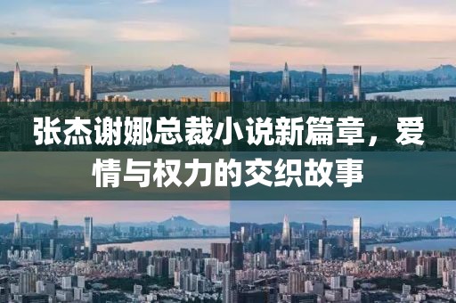 張杰謝娜總裁小說新篇章，愛情與權(quán)力的交織故事