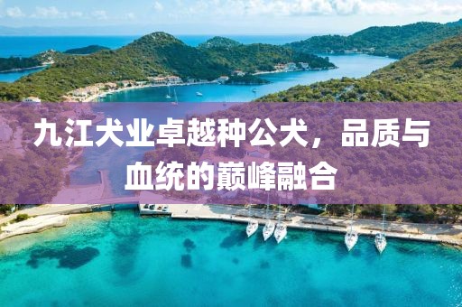 九江犬業(yè)卓越種公犬，品質(zhì)與血統(tǒng)的巔峰融合