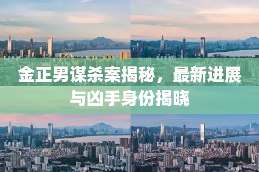 金正男謀殺案揭秘，最新進(jìn)展與兇手身份揭曉