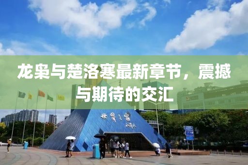 龍梟與楚洛寒最新章節(jié)，震撼與期待的交匯