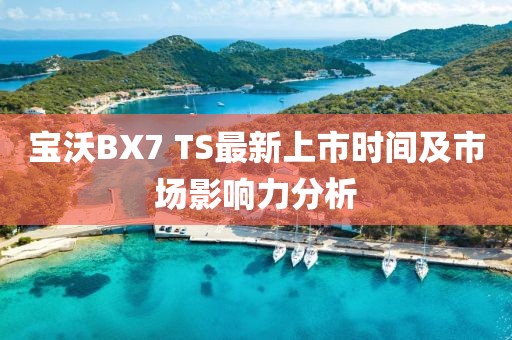 寶沃BX7 TS最新上市時(shí)間及市場(chǎng)影響力分析