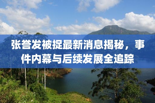 張譽發(fā)被捉最新消息揭秘，事件內(nèi)幕與后續(xù)發(fā)展全追蹤