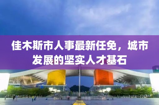 佳木斯市人事最新任免，城市發(fā)展的堅實人才基石