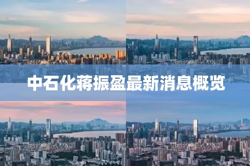 中石化蔣振盈最新消息概覽