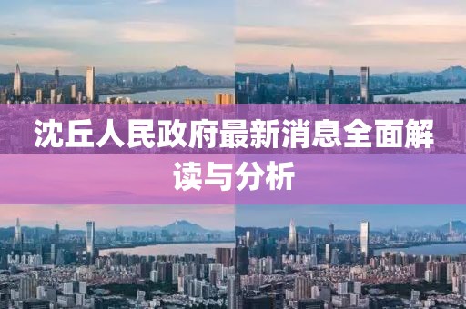 沈丘人民政府最新消息全面解讀與分析