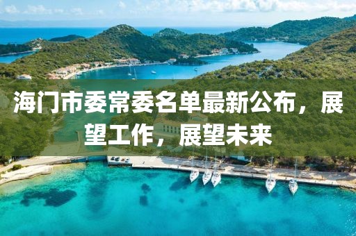 海門市委常委名單最新公布，展望工作，展望未來