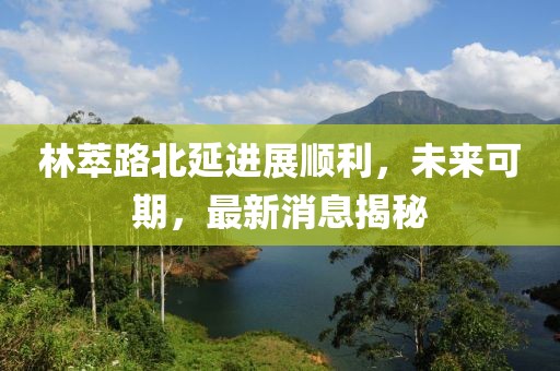 林萃路北延進(jìn)展順利，未來可期，最新消息揭秘
