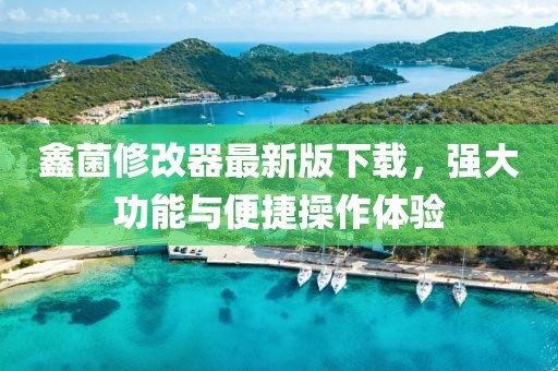鑫菌修改器最新版下載，強(qiáng)大功能與便捷操作體驗(yàn)