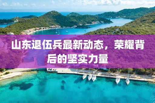 山東退伍兵最新動態(tài)，榮耀背后的堅實力量