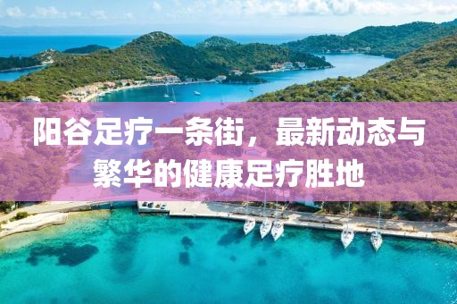 陽谷足療一條街，最新動態(tài)與繁華的健康足療勝地