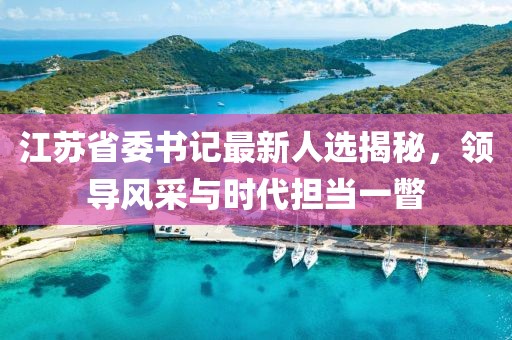 江蘇省委書記最新人選揭秘，領(lǐng)導(dǎo)風(fēng)采與時(shí)代擔(dān)當(dāng)一瞥