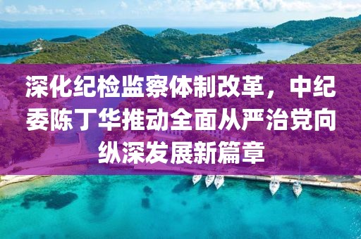深化紀(jì)檢監(jiān)察體制改革，中紀(jì)委陳丁華推動全面從嚴(yán)治黨向縱深發(fā)展新篇章
