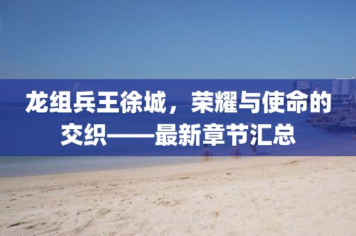 龍組兵王徐城，榮耀與使命的交織——最新章節(jié)匯總