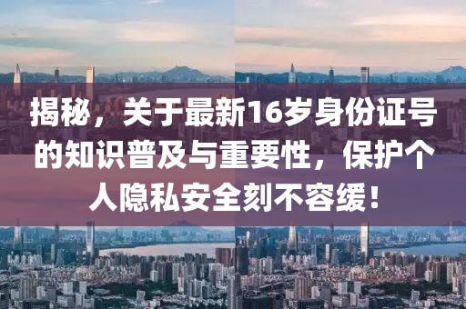 揭秘，關(guān)于最新16歲身份證號(hào)的知識(shí)普及與重要性，保護(hù)個(gè)人隱私安全刻不容緩！