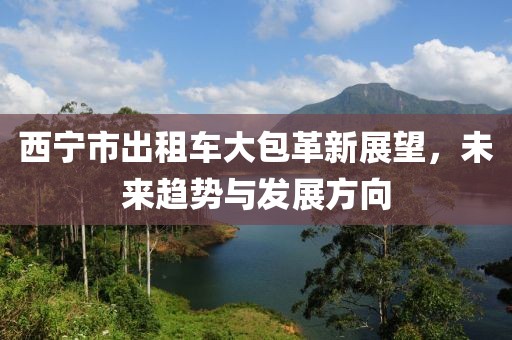 西寧市出租車大包革新展望，未來趨勢(shì)與發(fā)展方向