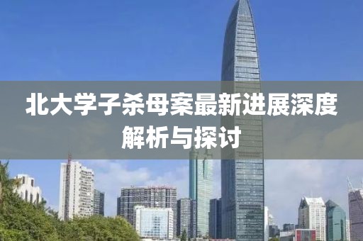 北大學(xué)子殺母案最新進(jìn)展深度解析與探討