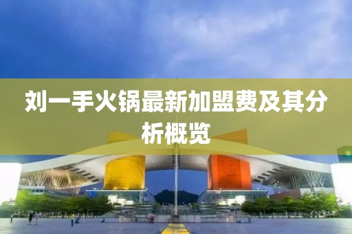 劉一手火鍋?zhàn)钚录用速M(fèi)及其分析概覽