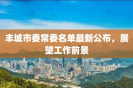 豐城市委常委名單最新公布，展望工作前景