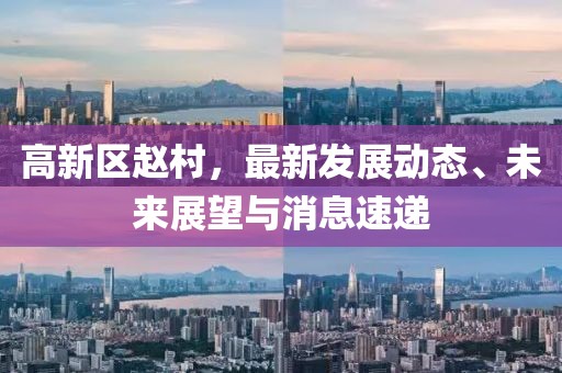 高新區(qū)趙村，最新發(fā)展動態(tài)、未來展望與消息速遞