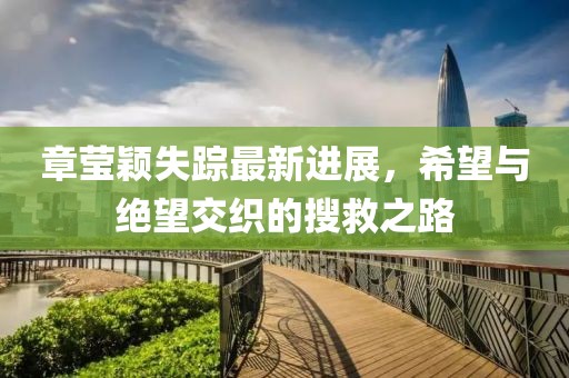 章瑩穎失蹤最新進(jìn)展，希望與絕望交織的搜救之路
