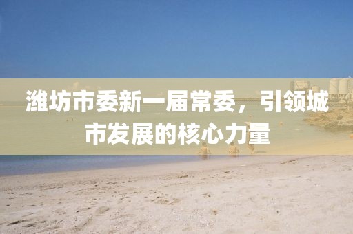 濰坊市委新一屆常委，引領(lǐng)城市發(fā)展的核心力量