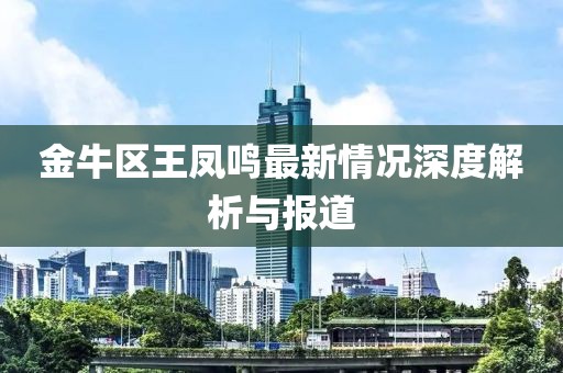 金牛區(qū)王鳳鳴最新情況深度解析與報(bào)道