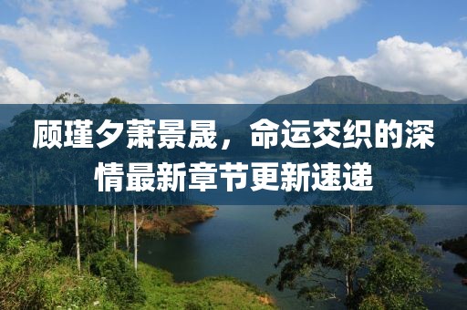 顧瑾夕蕭景晟，命運(yùn)交織的深情最新章節(jié)更新速遞