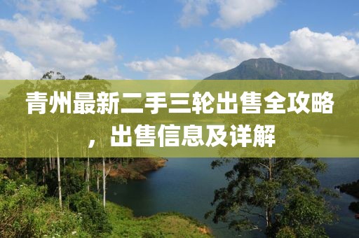 青州最新二手三輪出售全攻略，出售信息及詳解