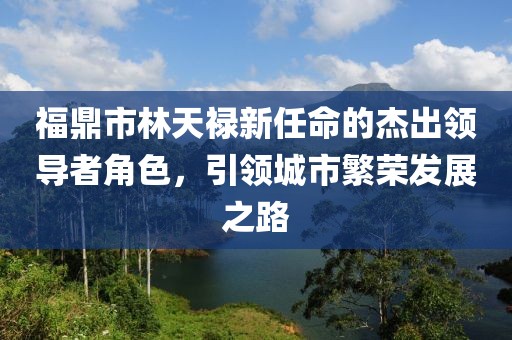 福鼎市林天祿新任命的杰出領(lǐng)導(dǎo)者角色，引領(lǐng)城市繁榮發(fā)展之路