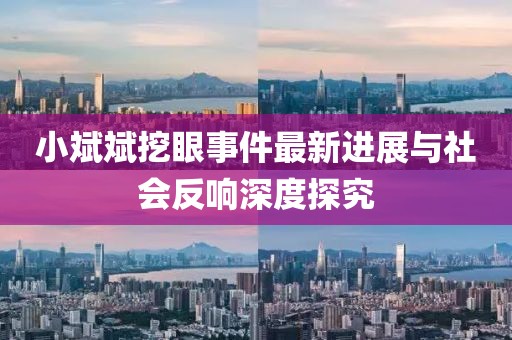 小斌斌挖眼事件最新進展與社會反響深度探究