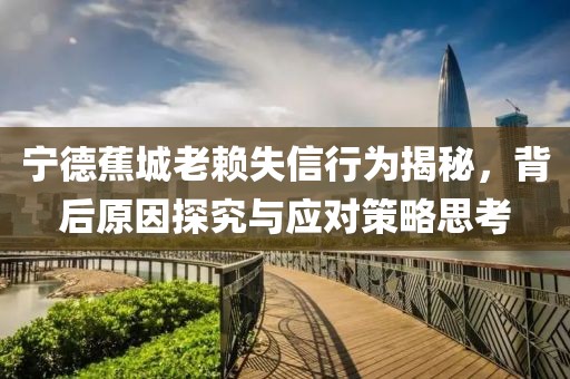 寧德蕉城老賴失信行為揭秘，背后原因探究與應(yīng)對(duì)策略思考