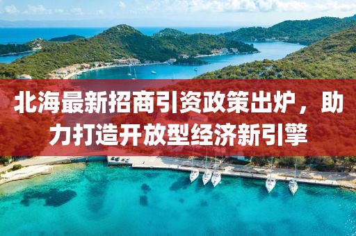北海最新招商引資政策出爐，助力打造開放型經(jīng)濟(jì)新引擎