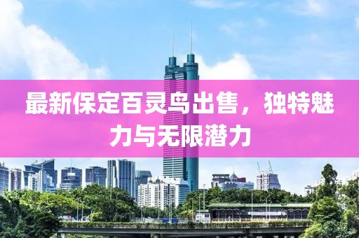 最新保定百靈鳥出售，獨(dú)特魅力與無限潛力