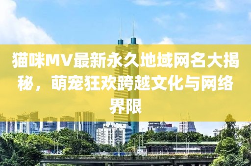 貓咪MV最新永久地域網(wǎng)名大揭秘，萌寵狂歡跨越文化與網(wǎng)絡(luò)界限