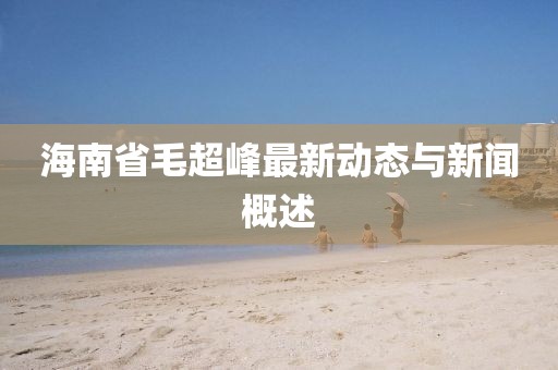 海南省毛超峰最新動(dòng)態(tài)與新聞概述