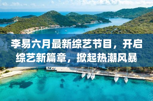 李易六月最新綜藝節(jié)目，開啟綜藝新篇章，掀起熱潮風(fēng)暴