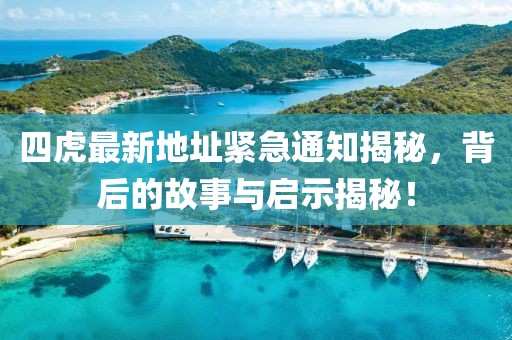 四虎最新地址緊急通知揭秘，背后的故事與啟示揭秘！