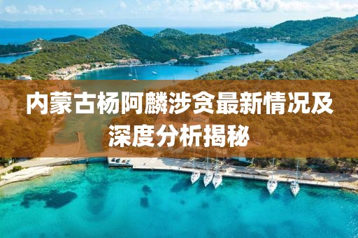 內(nèi)蒙古楊阿麟涉貪最新情況及深度分析揭秘