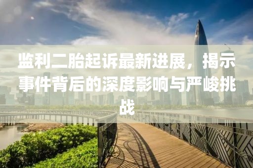 監(jiān)利二胎起訴最新進(jìn)展，揭示事件背后的深度影響與嚴(yán)峻挑戰(zhàn)