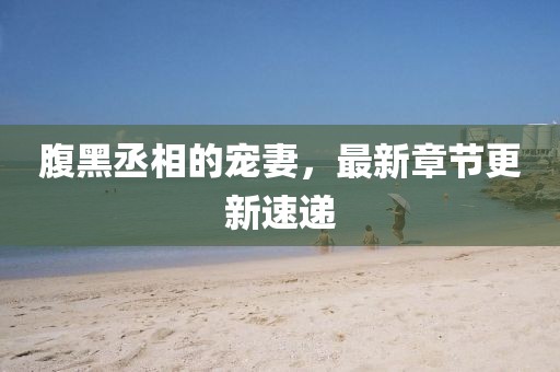 腹黑丞相的寵妻，最新章節(jié)更新速遞