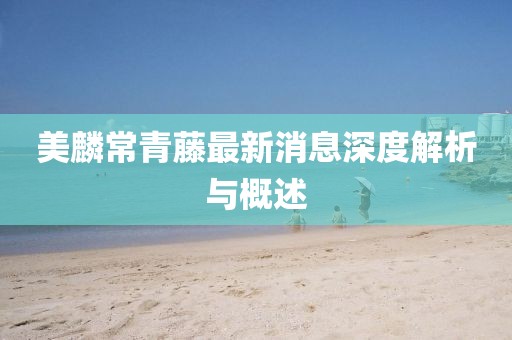 美麟常青藤最新消息深度解析與概述